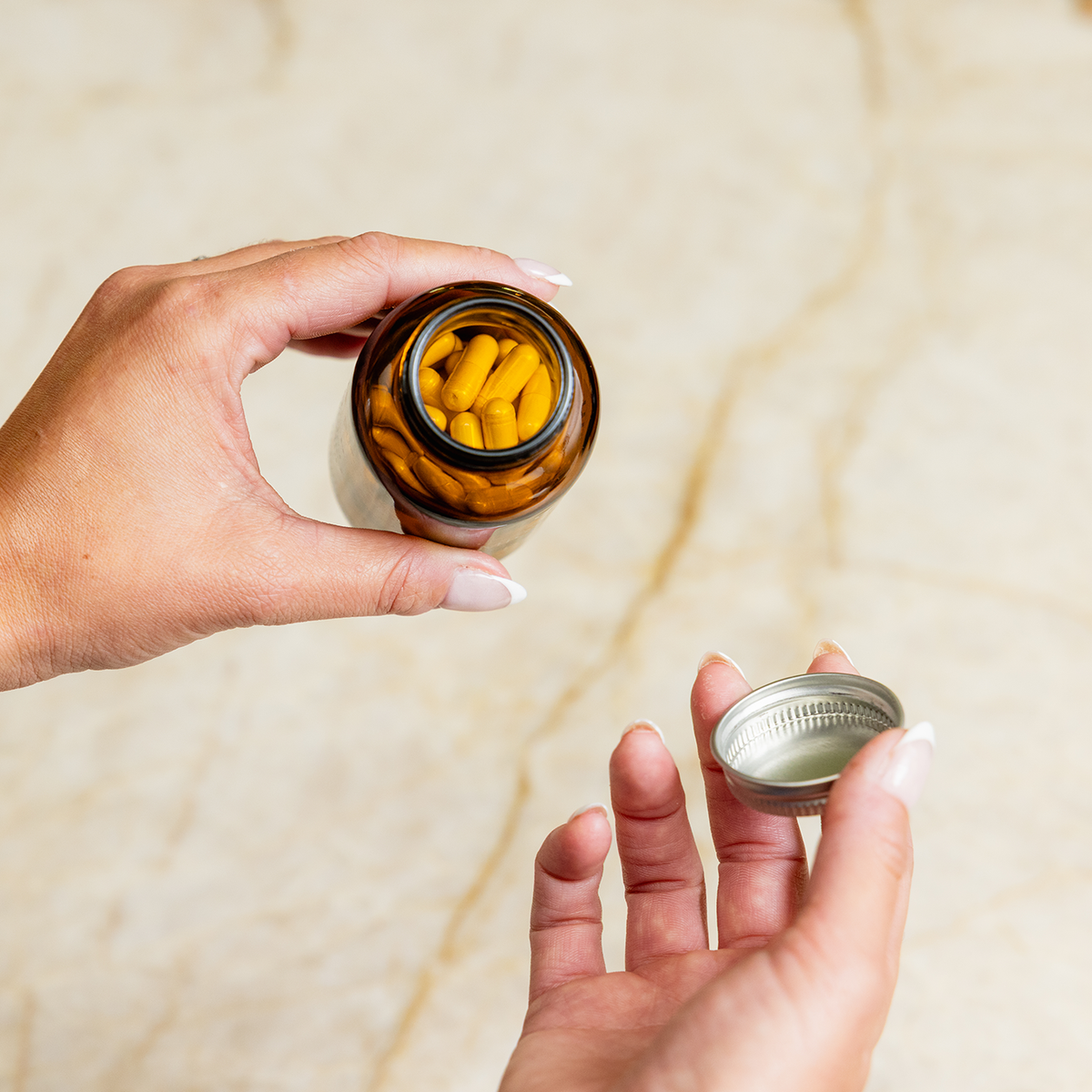 Winnow's Daily Probiotic Starter Pack - Daily Digestive Wellness Support