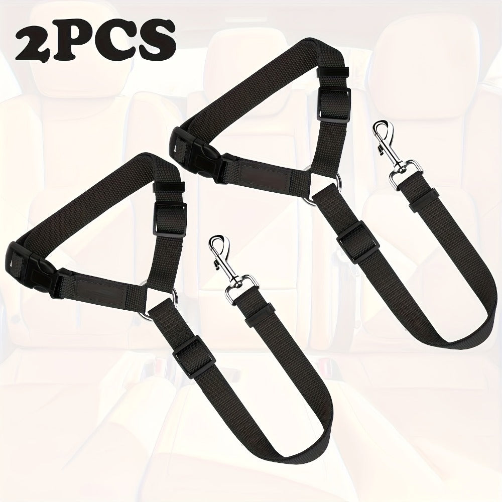 Two Piece Dog Leash Set