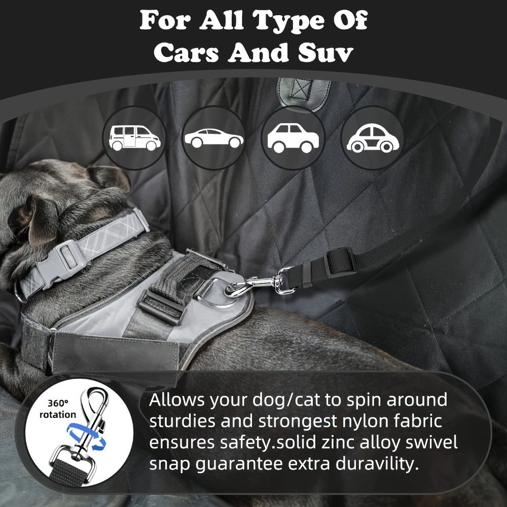 Two Piece Dog Leash Set