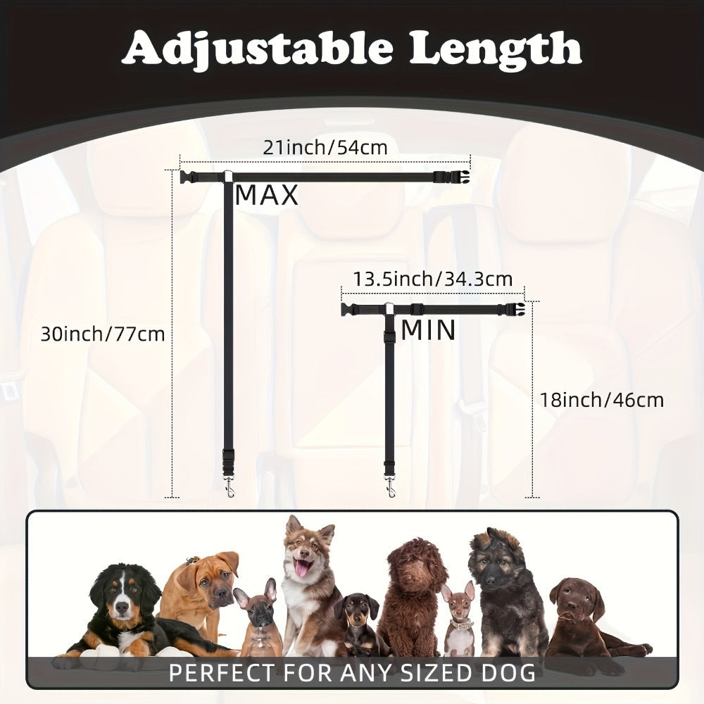 Two Piece Dog Leash Set