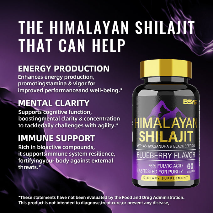 BSYS Shilajit Gummies for Energy - 60 Count Energy, Stamina & Vitality Support