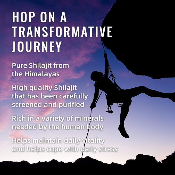 BSYS Shilajit Gummies for Energy - 60 Count Energy, Stamina & Vitality Support