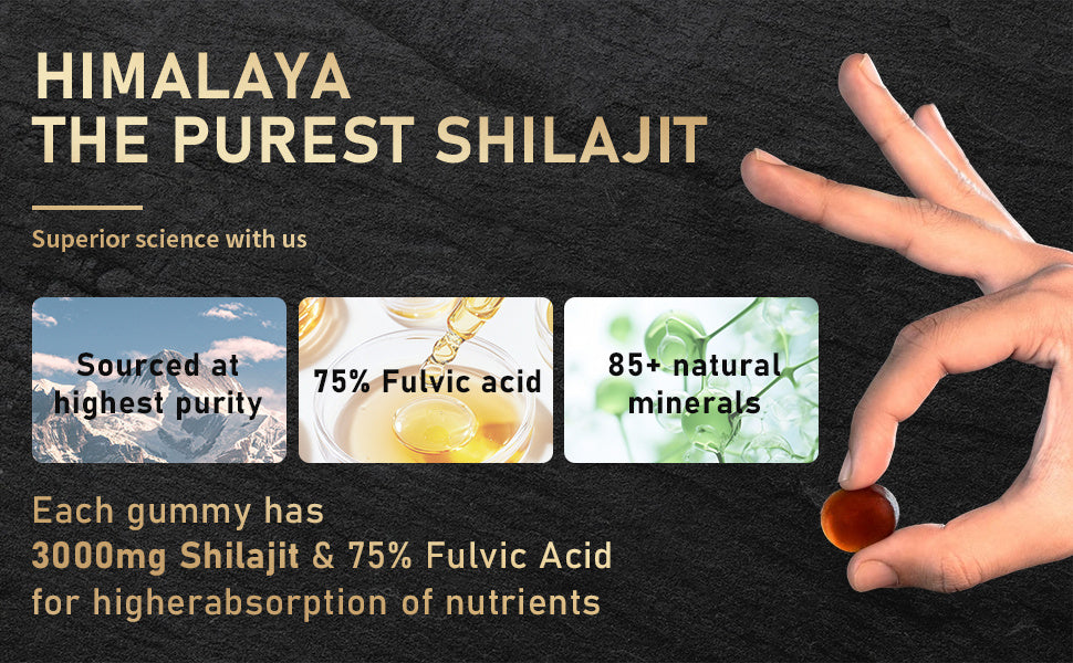 Xilaizhi Gummies 60 Capsules Canned | Daily Wellness Supplement